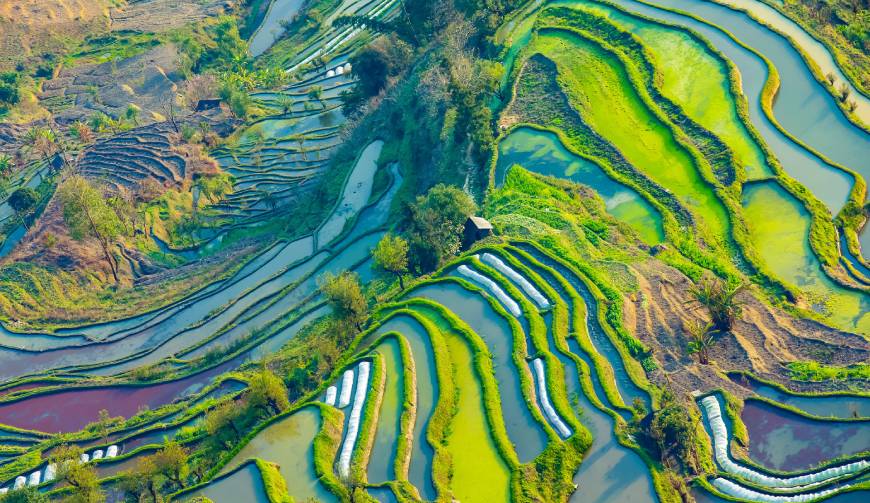 宝妈必备神器：桥东区产品视频拍摄轻松育儿好帮手