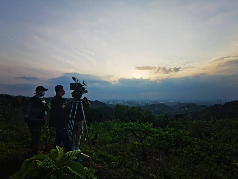 聚焦桥东区产品宣传视频拍摄公司，用专业实力铸就品牌传播传奇